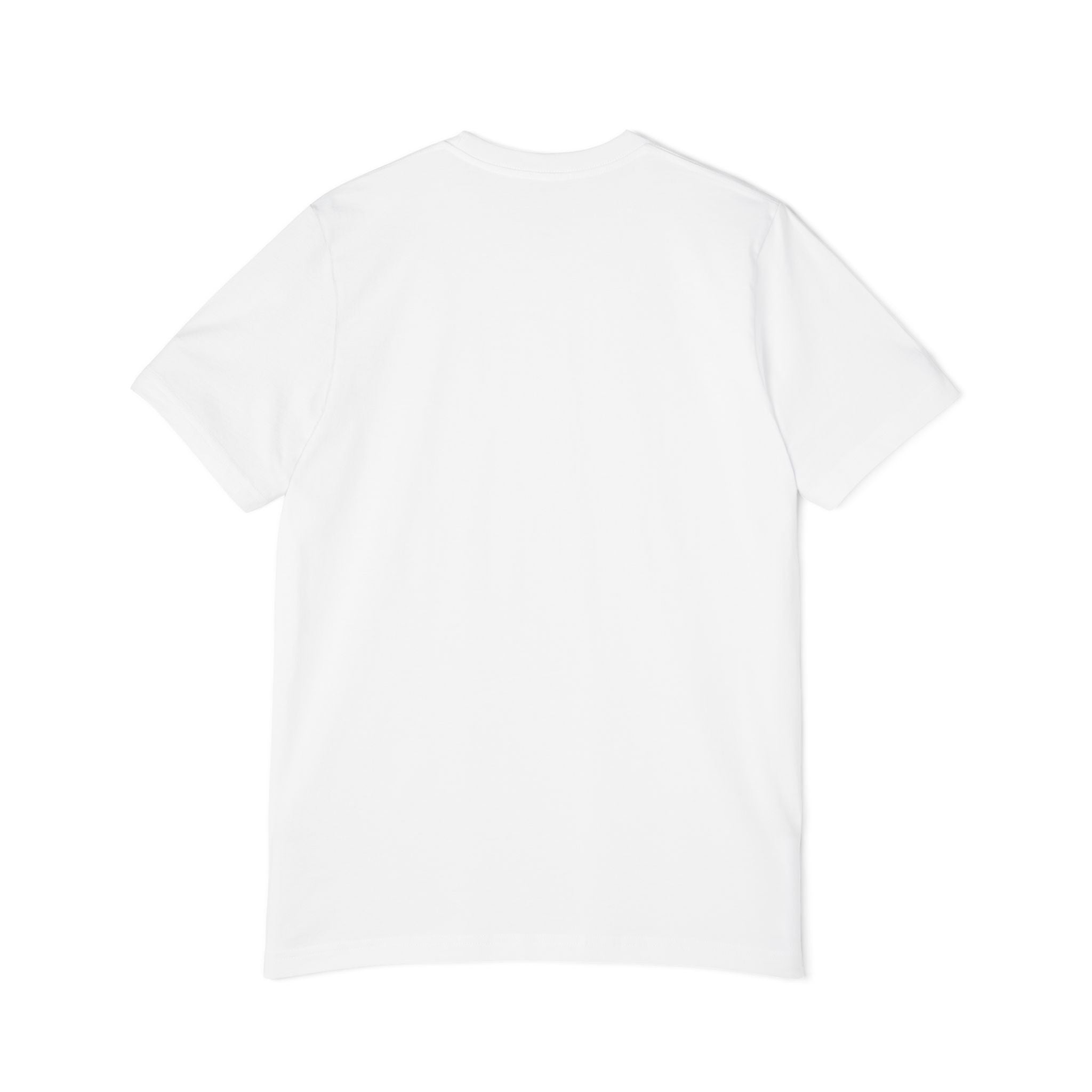 “Whispers Never Die” Haunted Plantation Gothic T-Shirt – Shadows of the South Series