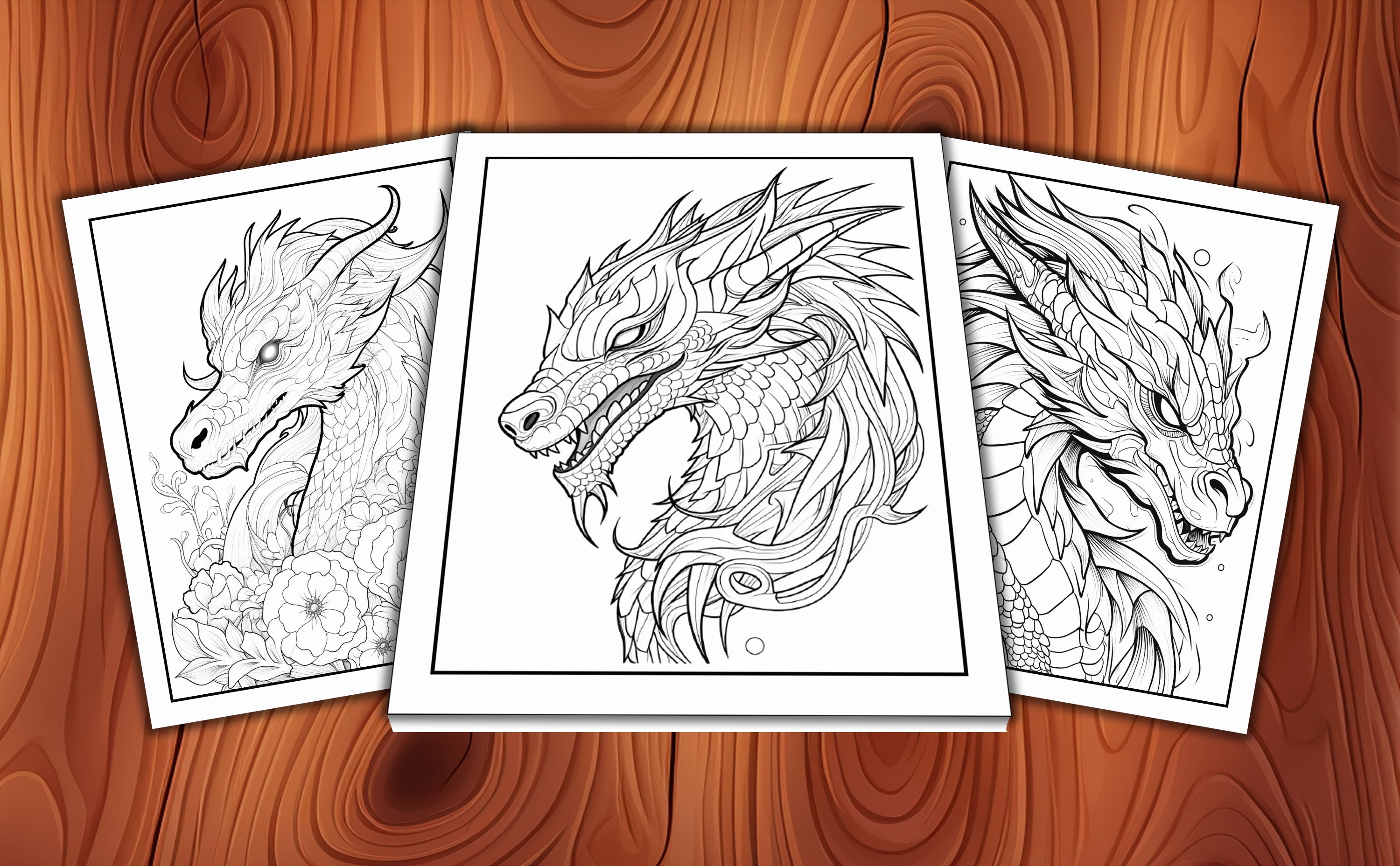 Adult Dragon Coloring Book