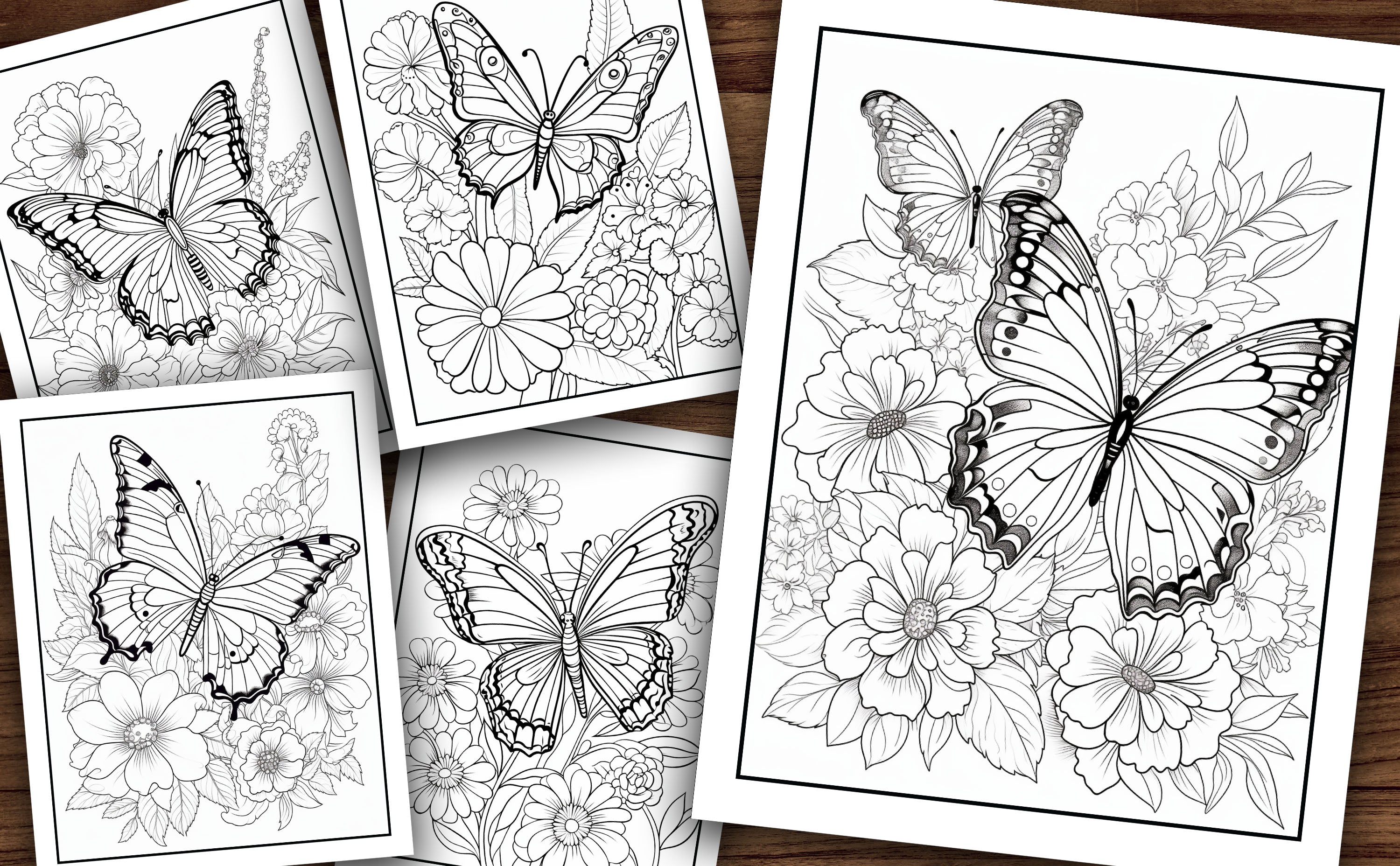 Adult Butterfly and Flowers