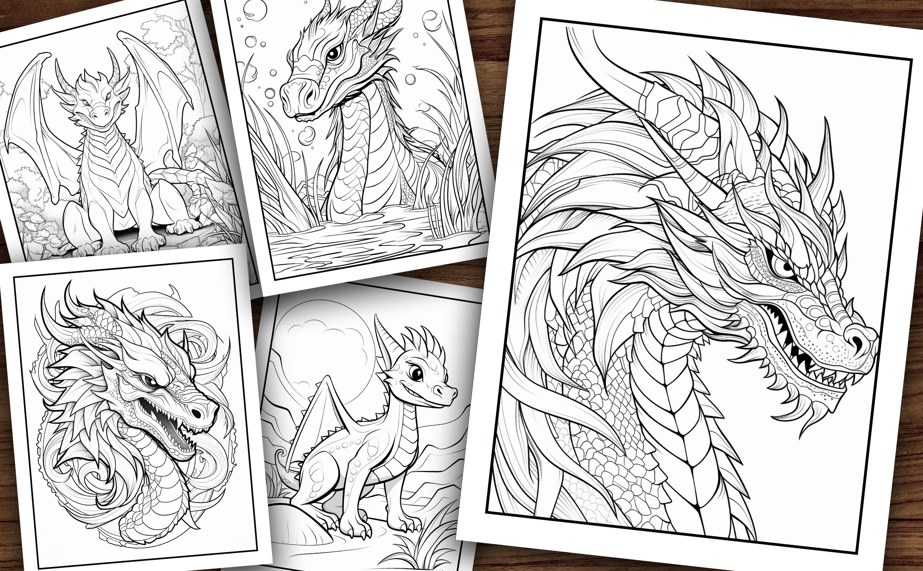 Adult Dragon Coloring Book