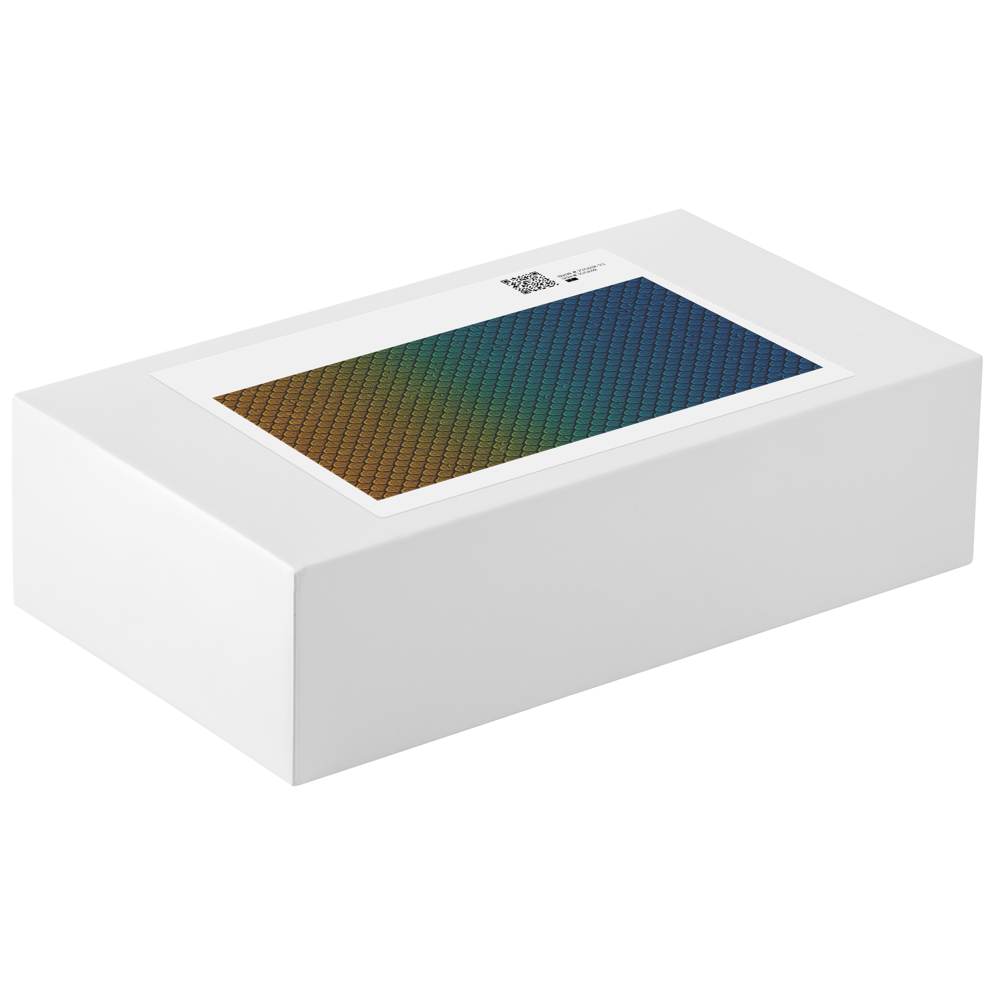 The_Dragons_Guardian_Collection_Drag_1014pc_V_Packaging_Mockup.png